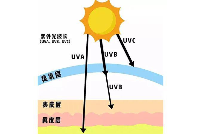 夏季防晒技巧、防晒产品怎么选、晒后修复方法-第2张图片-文巢好物