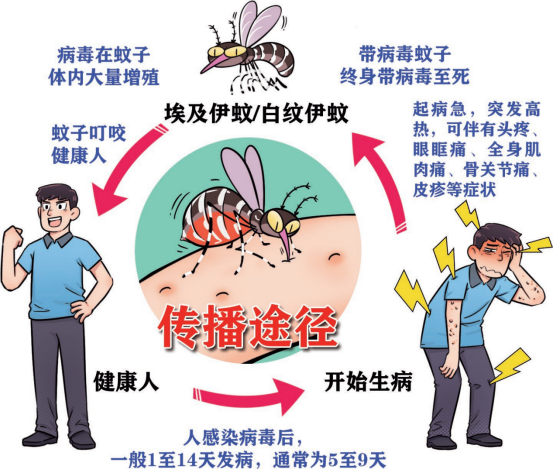 家里如何防蚊子，室内防蚊子的最好办法，3大维度教你科学灭蚊！-第3张图片-文巢好物