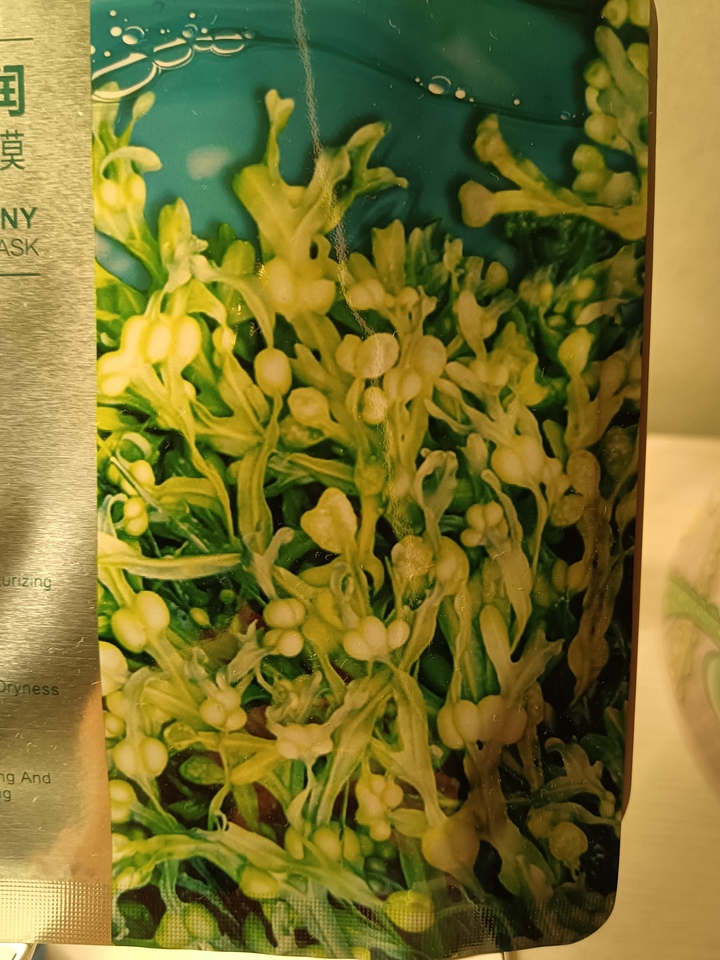 珀莱雅小球藻面膜怎么样（使用评价）成分表明细-第3张图片-文巢好物